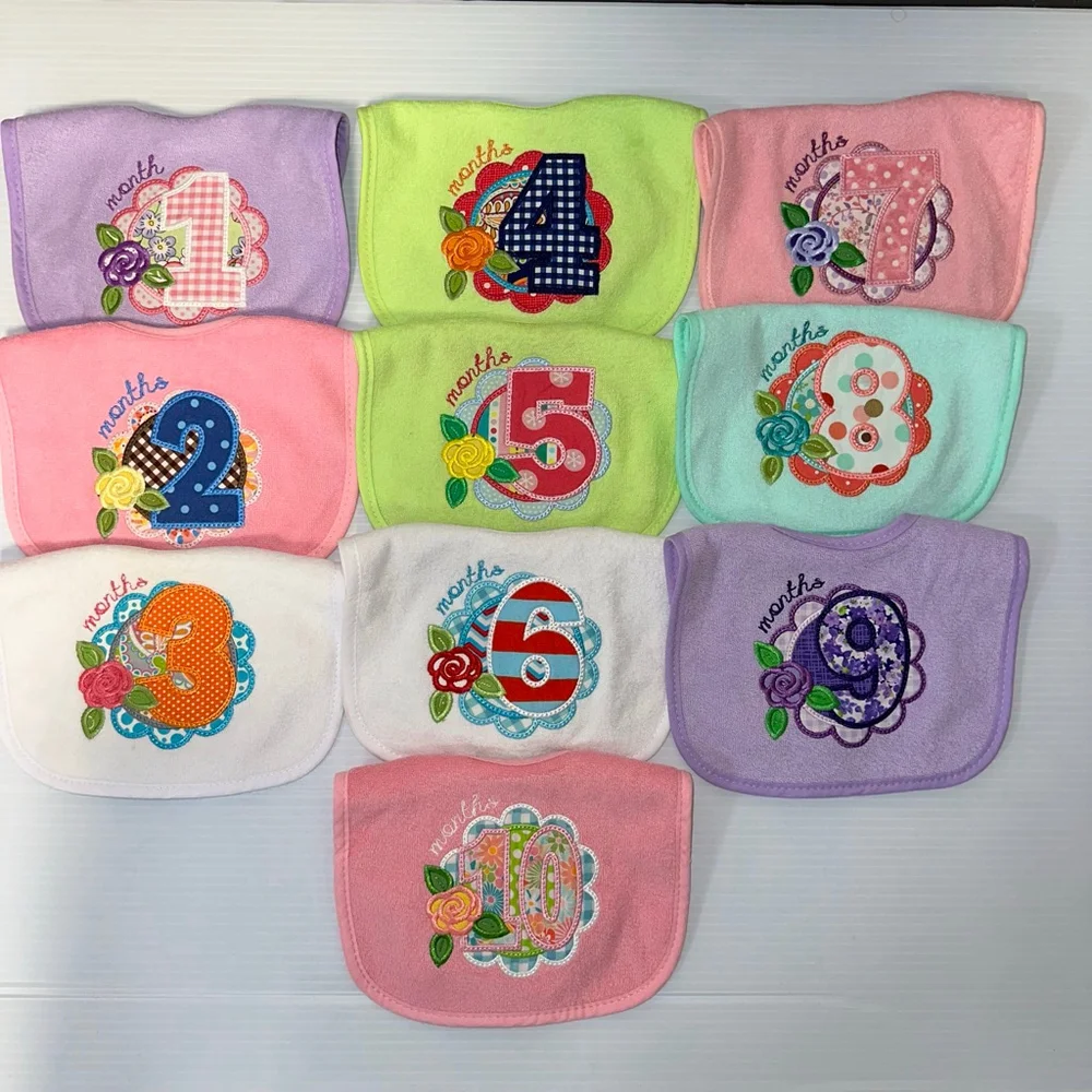 Lot of 10 Baby Girl Multicolor Embroidered Monthly Milestone Bibs Set One Size